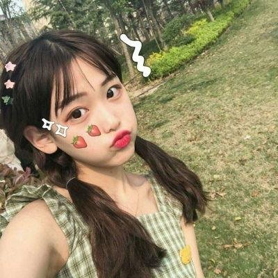 蜘蛛网