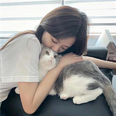 喜爱夜蒲2